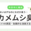カメムシがいないのに臭い…その原因、実は3パターンあります【今日中に解決】