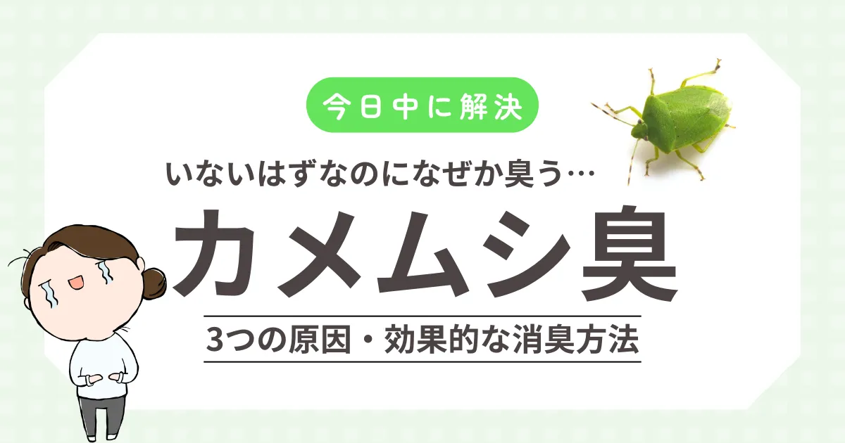 カメムシがいないのに臭い…その原因、実は3パターンあります【今日中に解決】