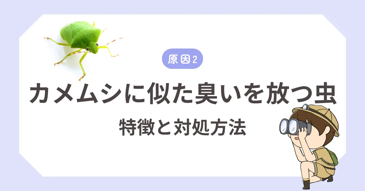 カメムシに似た臭いを放つ虫｜特徴と対処方法