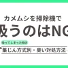 カメムシを掃除機で吸うのはNG！吸ってしまった時の集じん方式別・臭い対処法