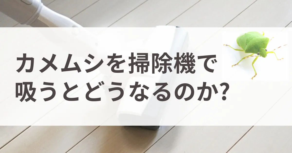 カメムシを掃除機で吸うとどうなるのか