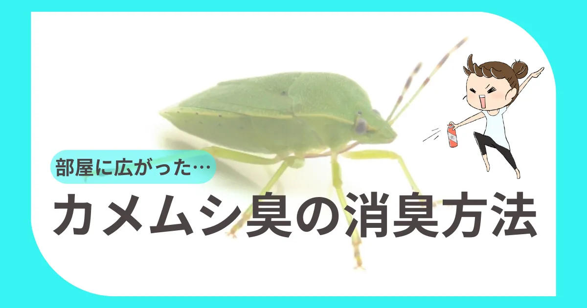 カメムシ臭が部屋に広がった場合の消臭方法