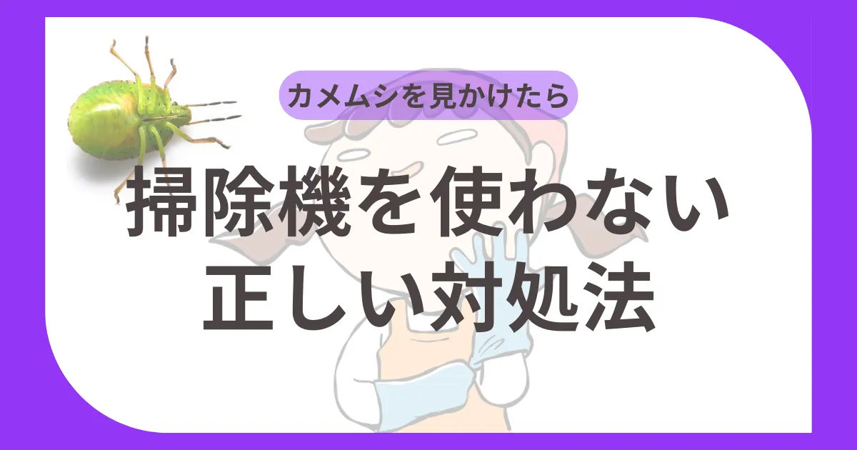 【カメムシを見かけたら】掃除機を使わない正しい対処法