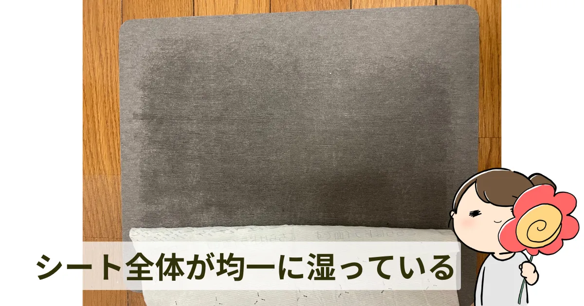 使って感じた「キレキラワイパー」のメリット